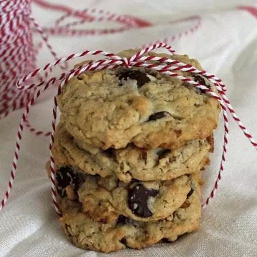 Chocolate Coconut Oatmeal Breakfast Cookies