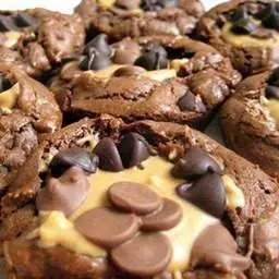 Peanut Butter Cup Brownies