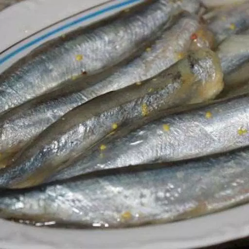 Сардины