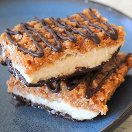 Homemade Samoas Bars