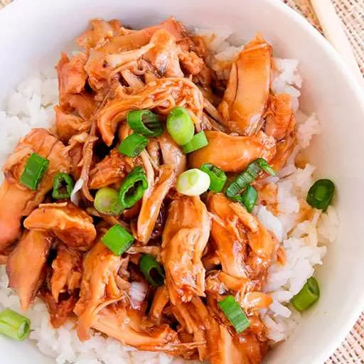 Crock Pot Teriyaki Chicken