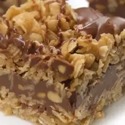 No Bake Chocolate Oat Bars