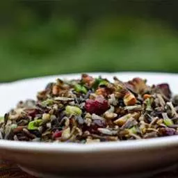 Wild Rice Cranberry Pecan Salad