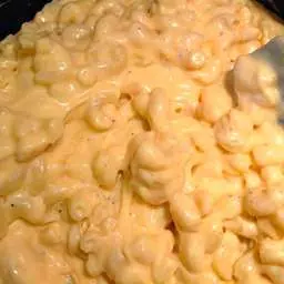 The Best Macaroni and Cheese