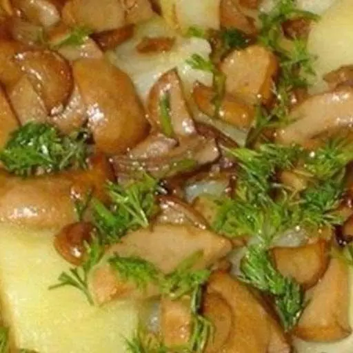 Картошка тушёная с грибами в мультиварке-скороварке