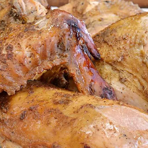 Turkey with Only Two Ingredients